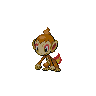 Dark Chimchar